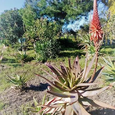 One Bedroom House With Sea View And Garden At 1 Km Away From The Lampedusa